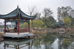 DSC_7337_ToneMapping