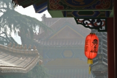 DSC_7535