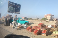 WhatsApp-Image-2026-03-20-at-19.48.56-1