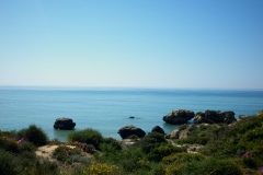 P1000859