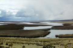 pan3