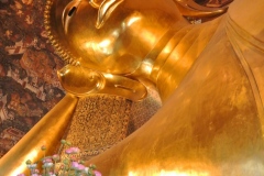 DSC_7662