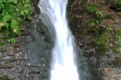 DSC_2435