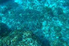 20150530_001036