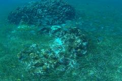 20150531_163058