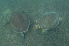 20150601_145758
