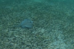 20150601_152827
