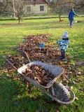 IMG_20201108_133106_1