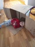 IMG_20201121_081530