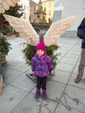 IMG_20201227_104716_1