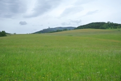 DSC_8550
