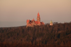DSC_0288