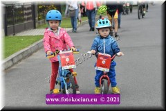 2021-2236-Lestina-