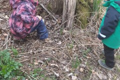 IMG_20220415_184533_1