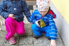 IMG_20230424_153735_1