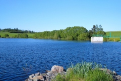 IMG_20230603_175550