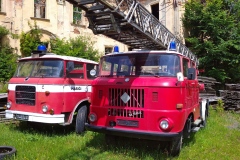 IMG_20230703_114049_1