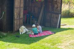 20240825IMG_9810