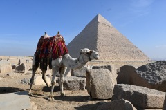 2025_01_EGYPT
