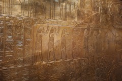 20250313_114912