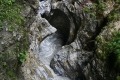 DSC_1035