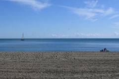 DSC_2400