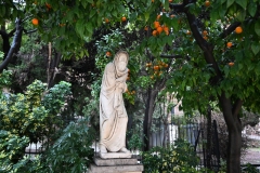 DSC_2452