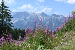 DSC_4614.JPG