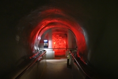 DSC_4662.JPG