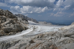 DSC_4725.JPG
