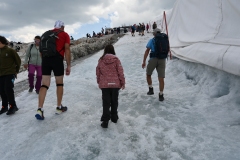 DSC_4754.JPG