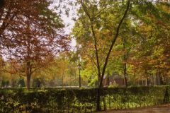 img_1943