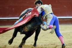2011_03_16_FALLAS