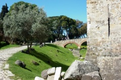 P1000750