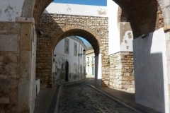 P1000555