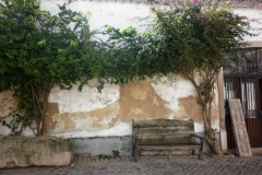 P1000564