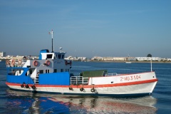 P1000867